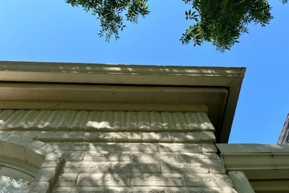 Gutter Cleaning