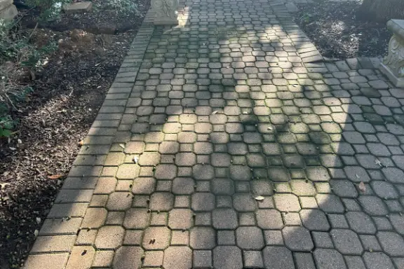 Paver & Patio Cleaning