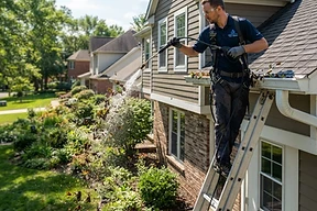 Gutter Cleaning
