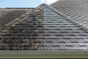 Roof Washing